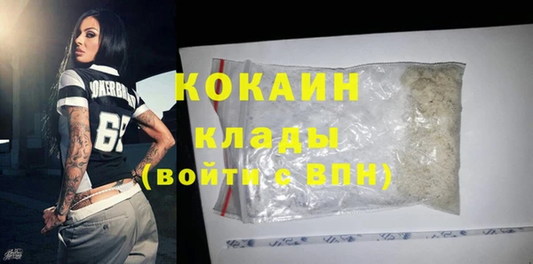 шишки Аркадак