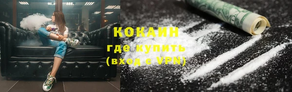 шишки Аркадак