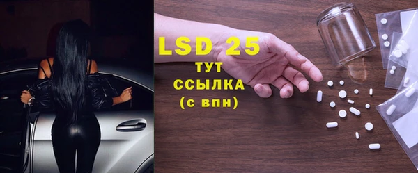 шишки Аркадак