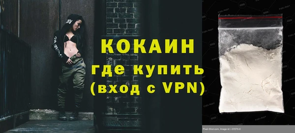 шишки Аркадак