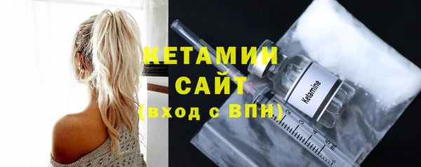шишки Аркадак