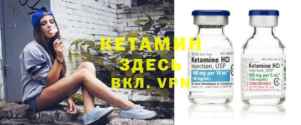 шишки Аркадак