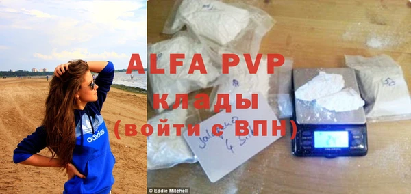 шишки Аркадак