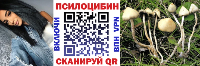 Галлюциногенные грибы Psilocybe  как найти закладки  Калач-на-Дону 